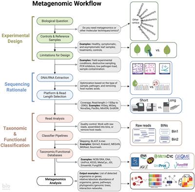 Seeing in the dark: a metagenomic approach can illuminate the drivers of plant disease